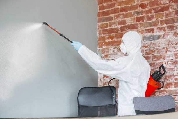 Best Commercial Mold Inspection  in Tunnel Hill, GA