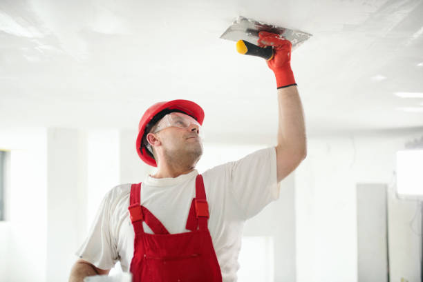 Trusted Tunnel Hill, GA Mold Removal Experts